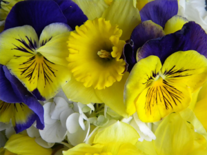 Women's Studies - Literary Fiction - Bouquet.